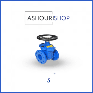شیر فلکه کشویی (محور صعودی) چدنی PN16 سایز 5 اینچ وگ ایران (بی همتا)